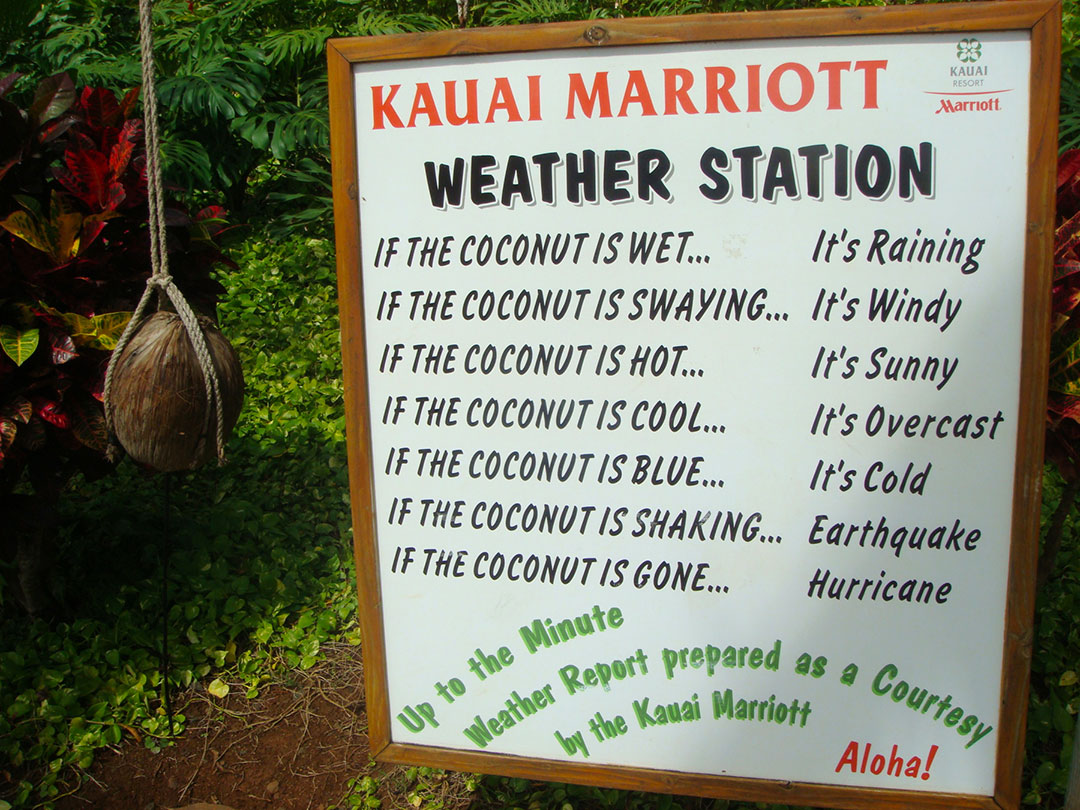 Rainy Day Activities Kauai Poipu Beach